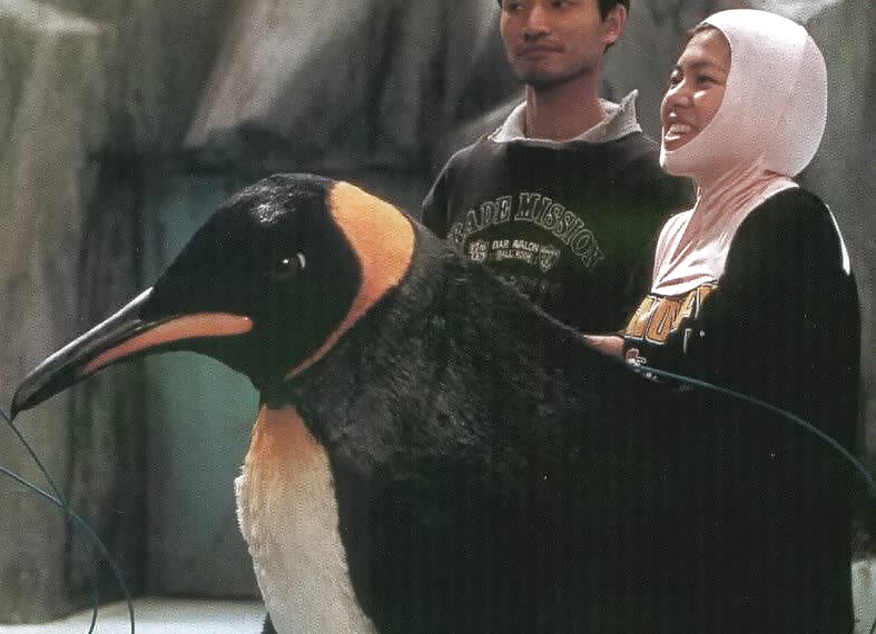 Kigurumi1
 #39598380