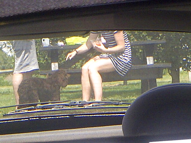 Tapas cándidas
 #28314040