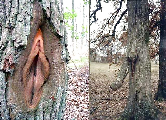 Naturaleza hablar de sexo
 #25078649