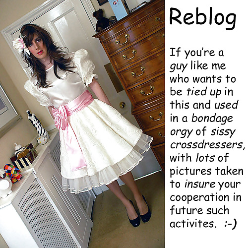 Web sissies
 #26355819