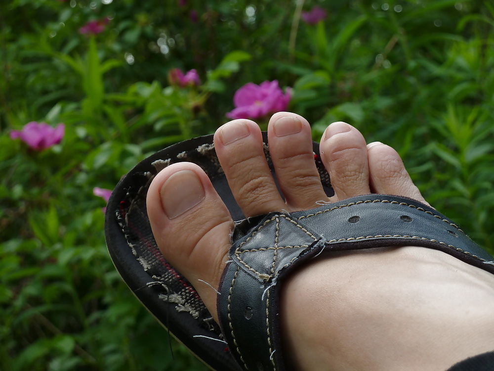Perfect SOLES #28315887
