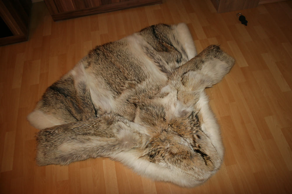 My Fur Coats... #26404397