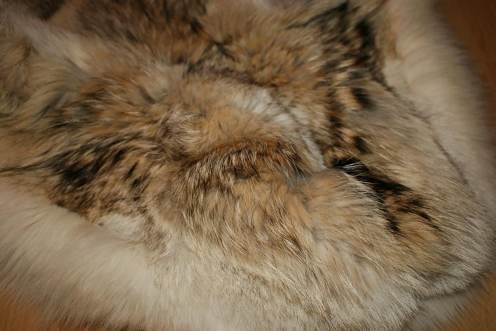 My Fur Coats... #26404404