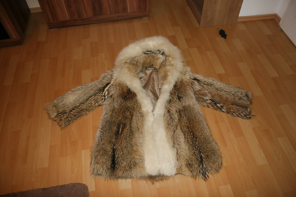 My fur coats...
 #26404413