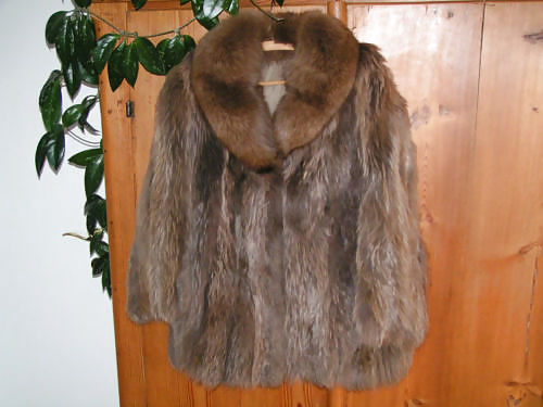 My fur coats...
 #26404441