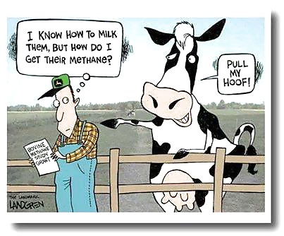 Diversión
 #35524415