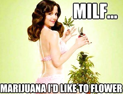 Diversión
 #35524416