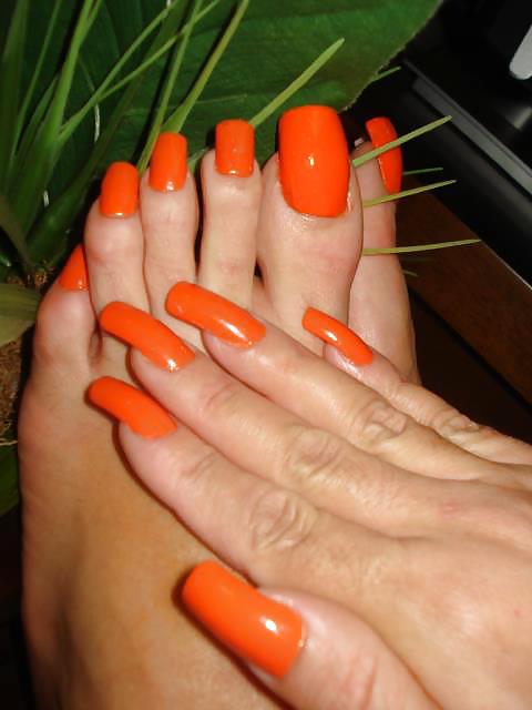 Sexy uñas largas y dedos de los pies
 #35811239