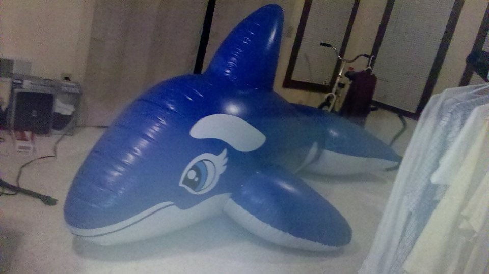 My sph'ed inflatable #35654805