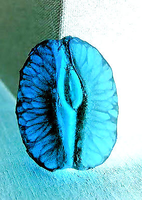051
 #34724325