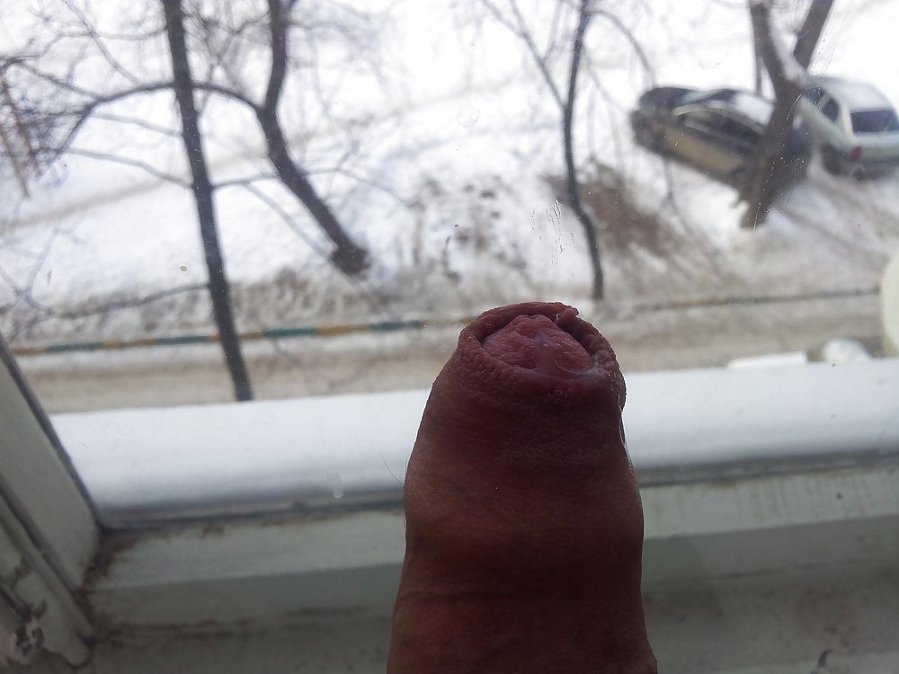 In the window #24389883
