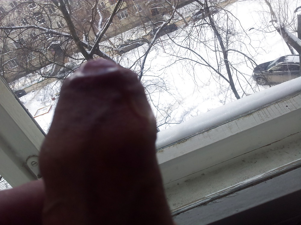 In the window #24389899