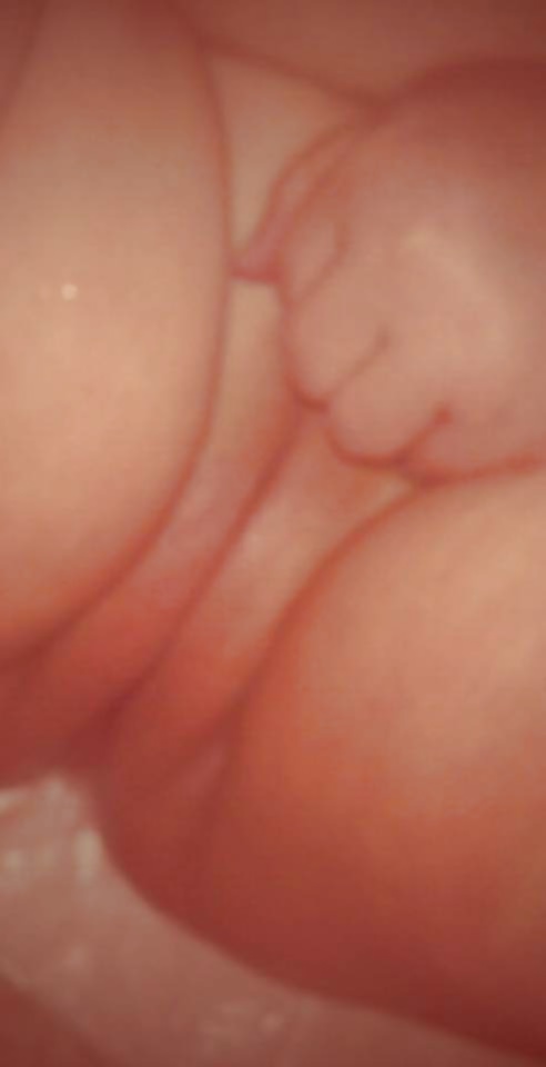 新しいモコの女の子
 #35083248