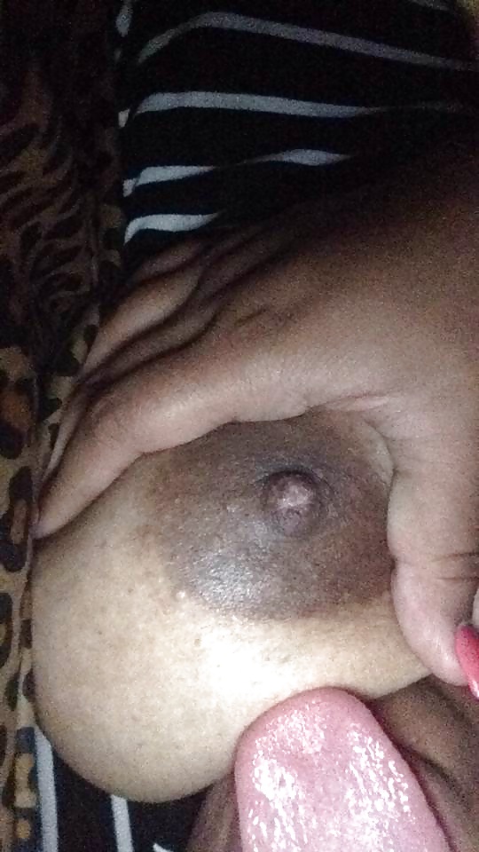 新しいモコの女の子
 #35083370