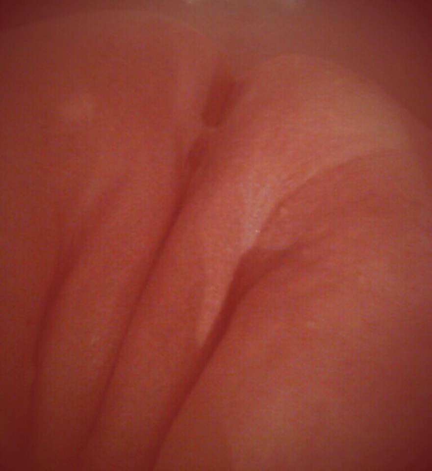 新しいモコの女の子
 #35083380