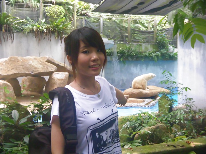 Chinese Busty Singapore Girl #39778826