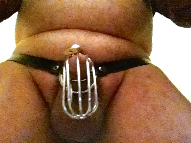 In my cage for my Mistress I obey ..... #38810093