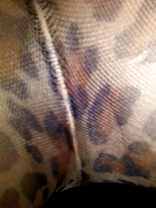 Leopard Stocking  #32701041