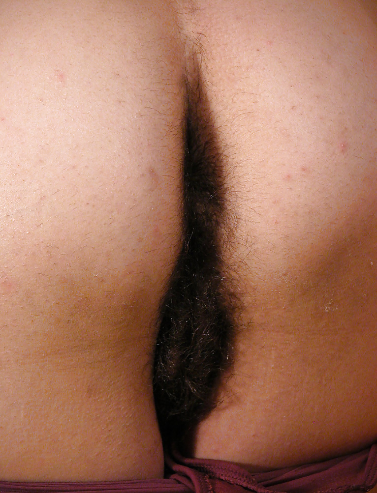 Hairy Lesbians 1 #26375515