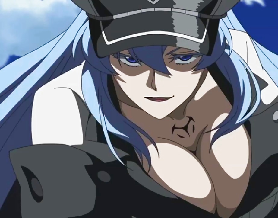 Akame Ga Kill #32266257