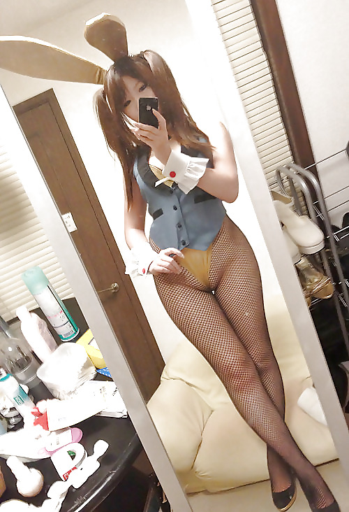 子猫とバニー 23!
 #23650577