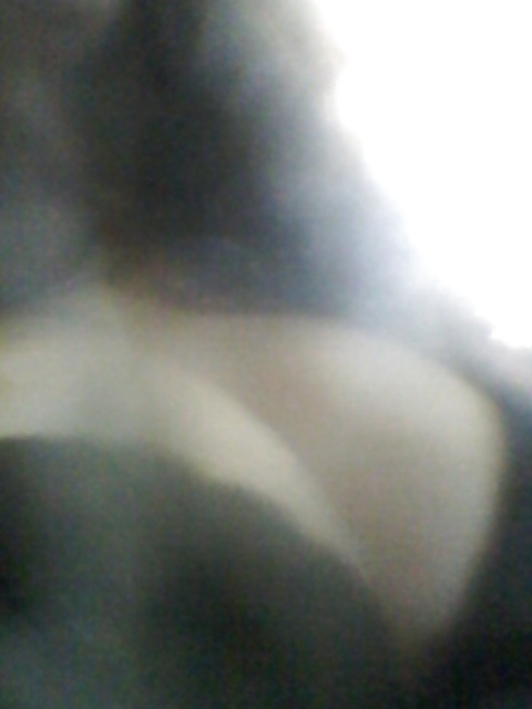 Mis fotos
 #26655336