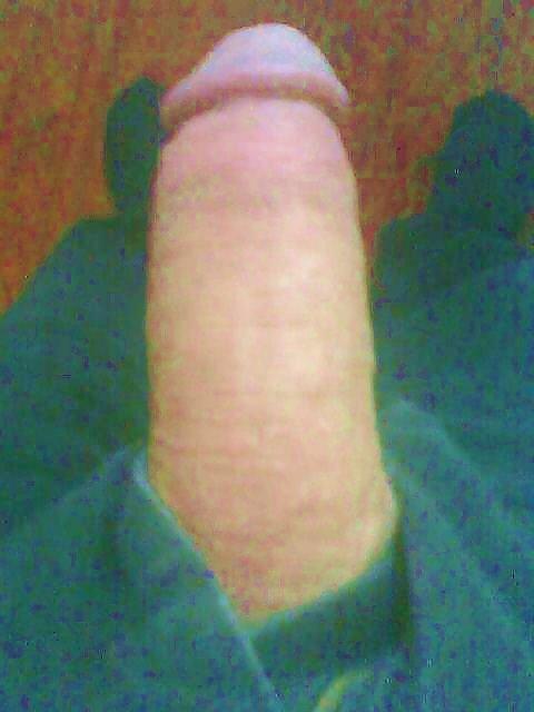 私の写真をもっと見てみましょう
 #24929228