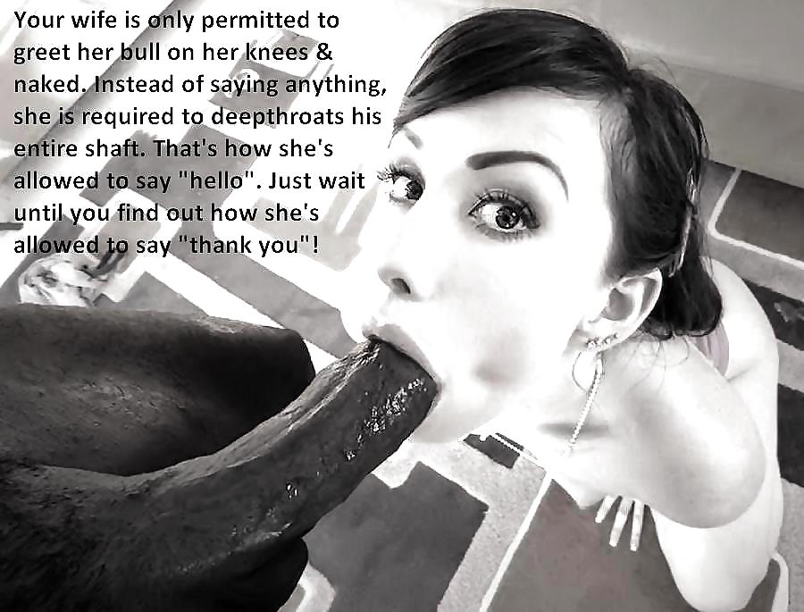 BBC Sissy and Cuck Captions #36490442