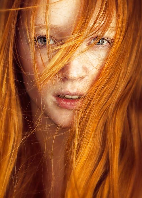 赤毛 vol.1
 #28063100