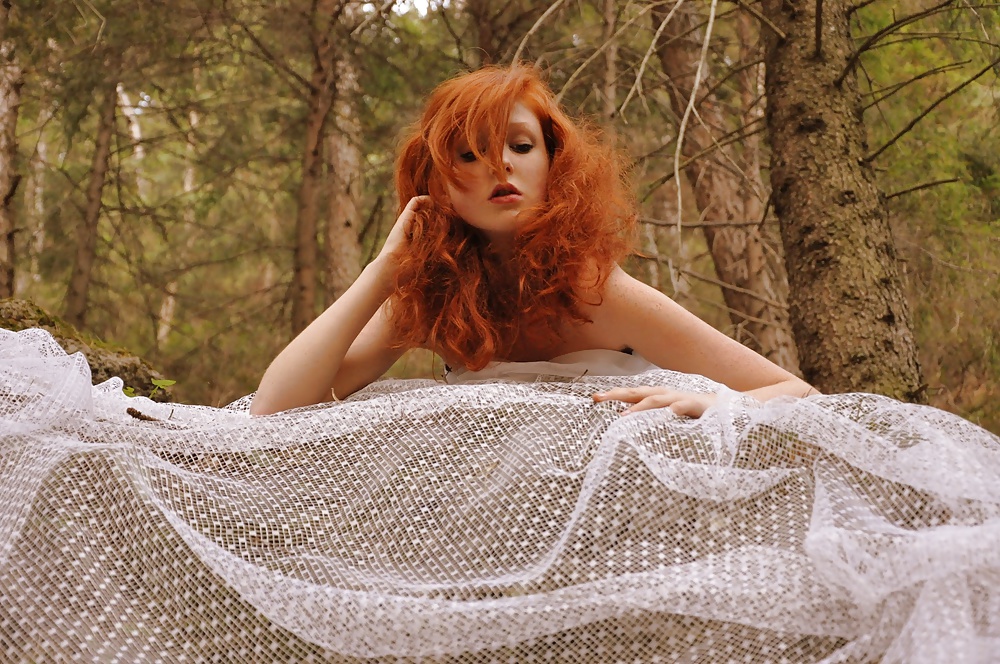 赤毛 vol.1
 #28063151