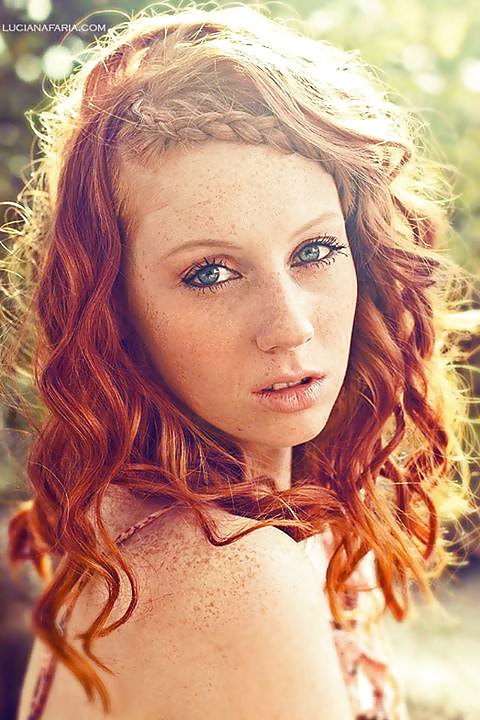 赤毛 vol.1
 #28063160