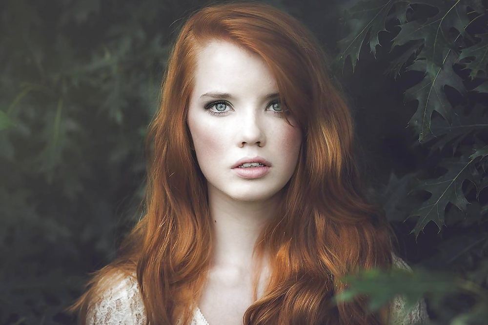 赤毛 vol.1
 #28063177