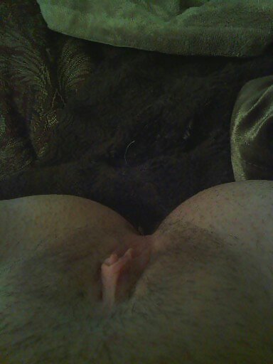 Niedliche Kleine Pussy #38070014