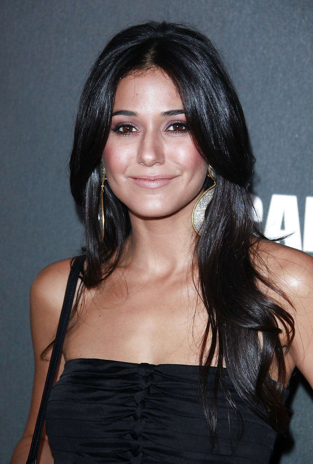 Emmanuelle chriqui
 #35078735