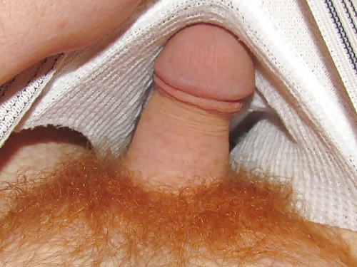 Pelirrojo desnudo 4
 #29771177