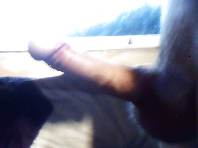 Mi polla 
 #39676728