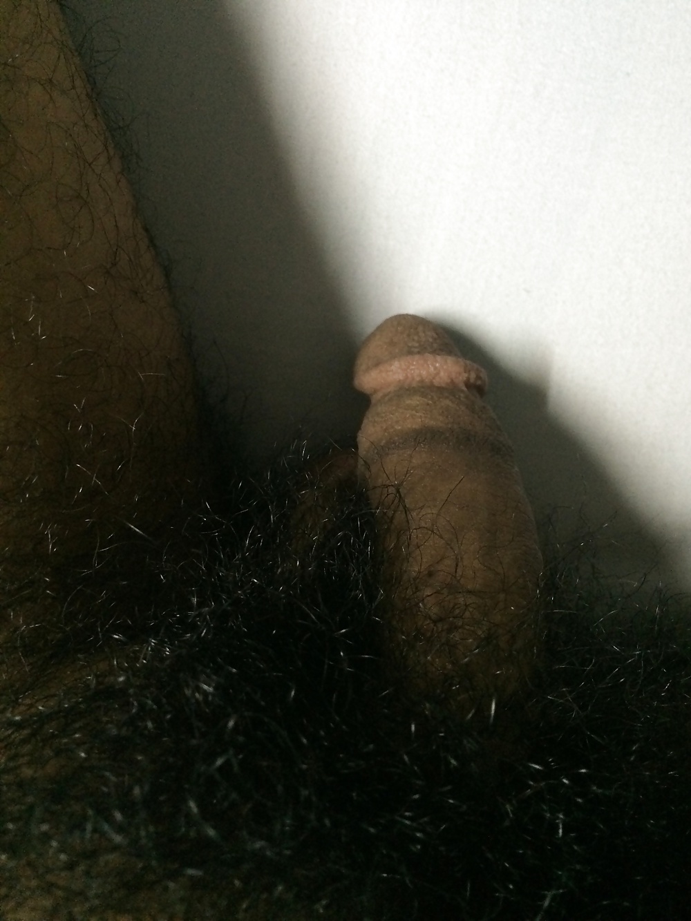 Hart Asiatisch Dick #30334785