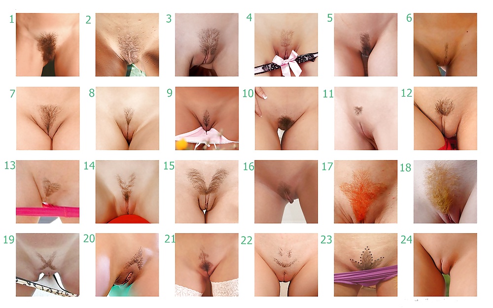 Types of pussy #27674902