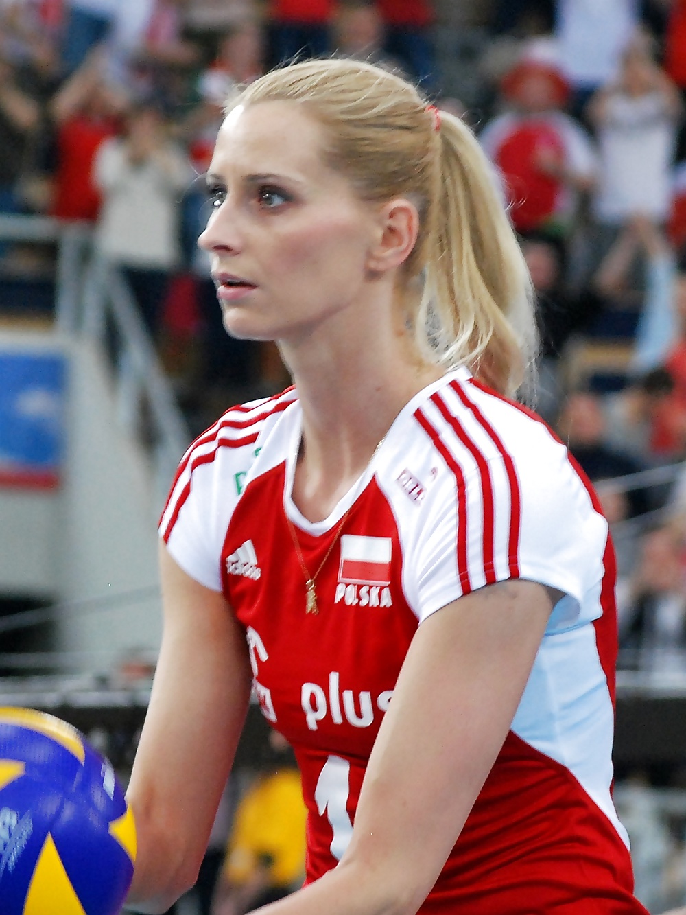 Polish Volleyball Girls 2 #34197591