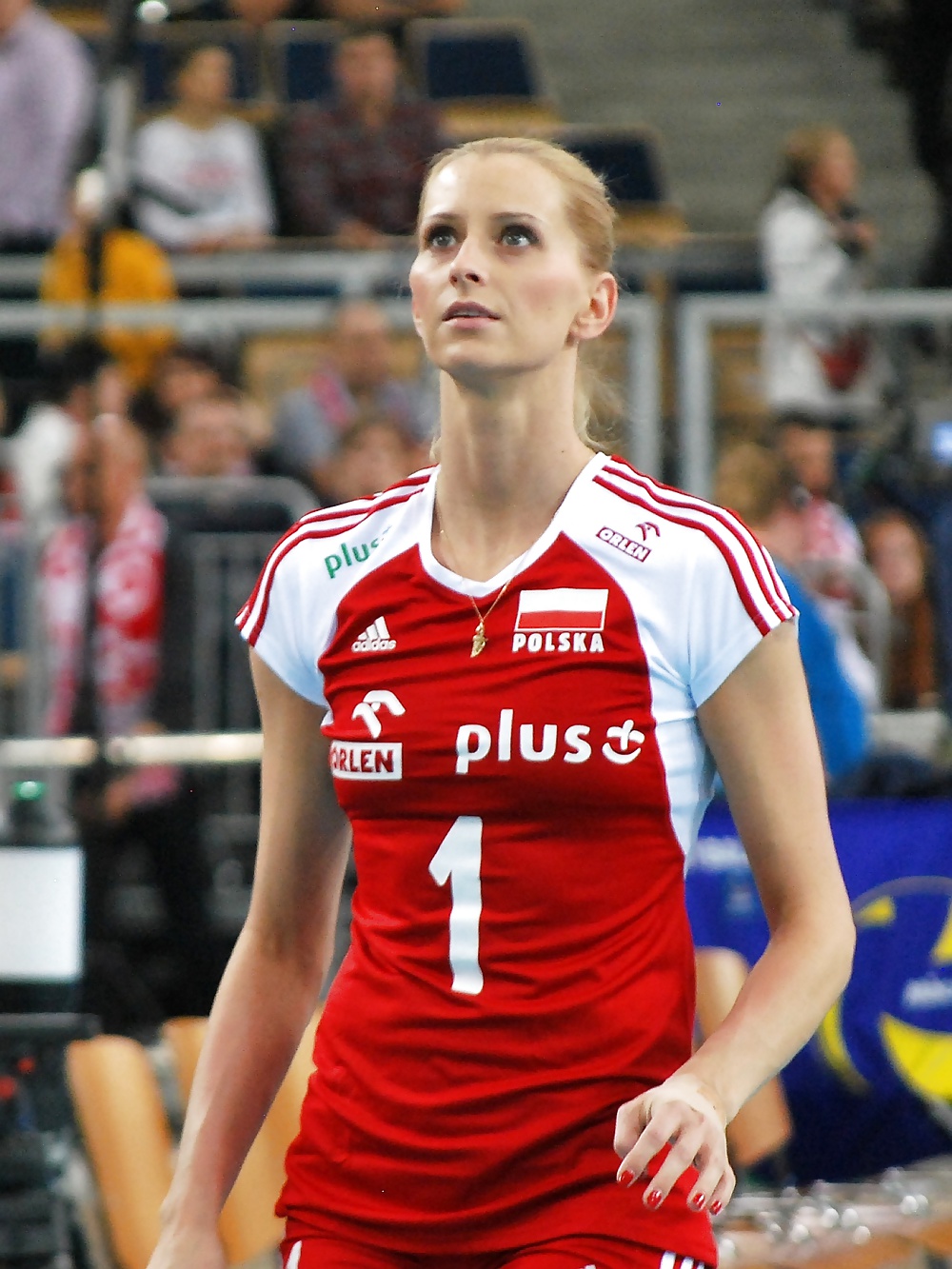 Polish Volleyball Girls 2 #34197608