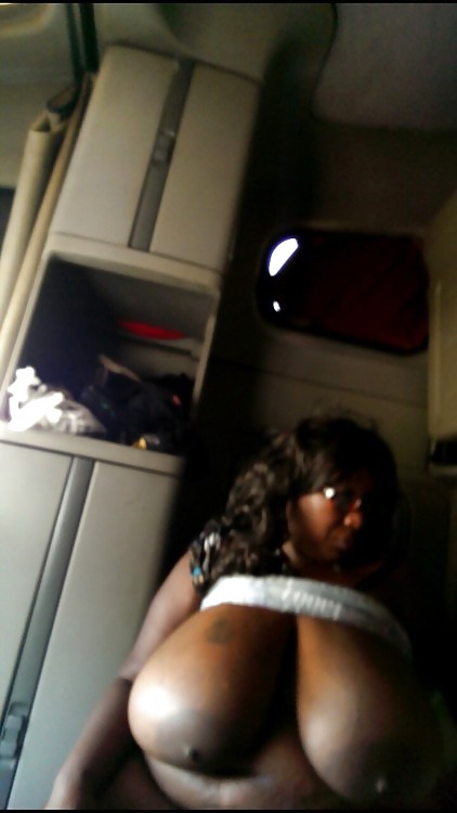 Mixture of bbws  #36318680
