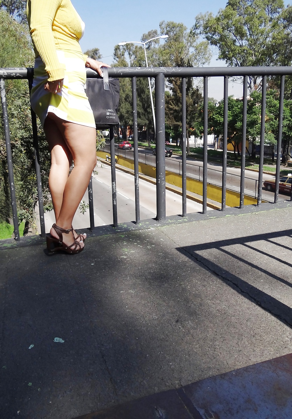 Public exibitionist upskirt and flash #24133392