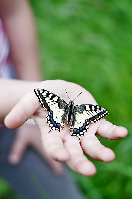 Tu chico zorra
 #34966416