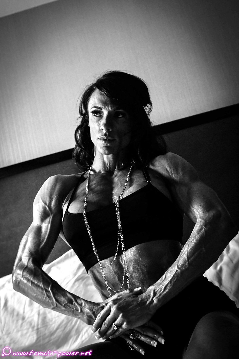 More shredded FBB #31401265