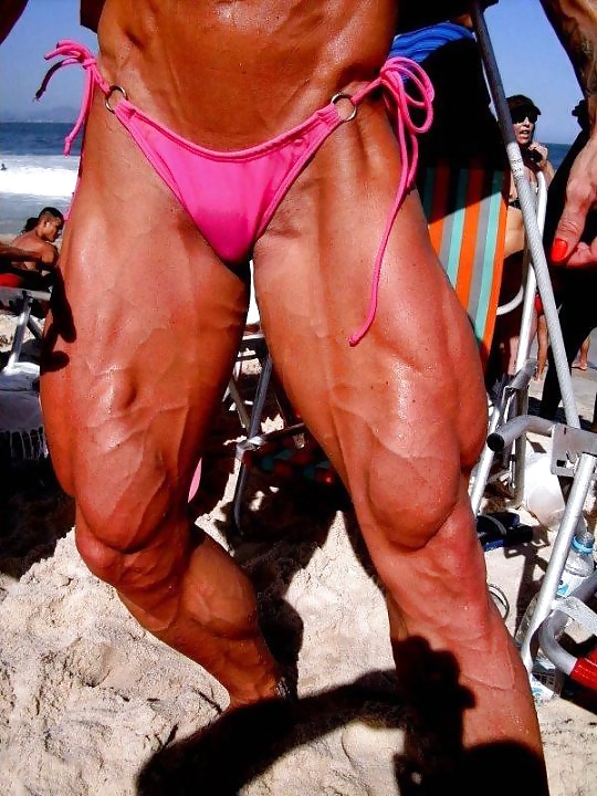 More shredded FBB #31401299