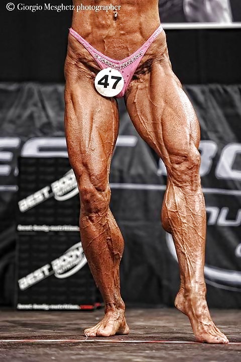 More shredded FBB #31401318