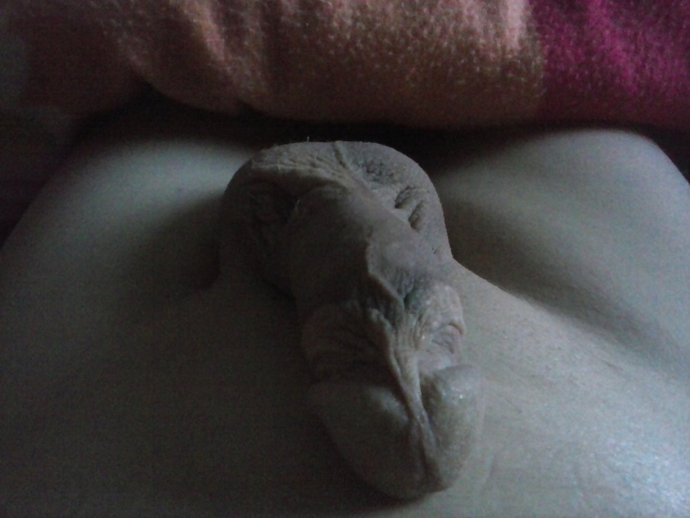 Einfach meiner
 #30509884