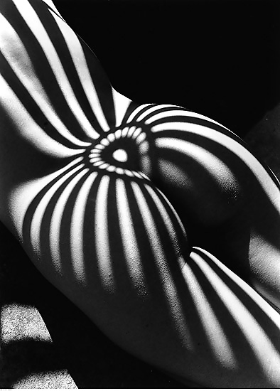 ジャナス・アート・ドゥ・ラ・ジョイ 186
 #28002385