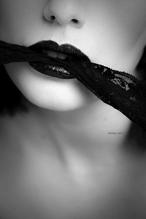 ジャナス・アート・ドゥ・ラ・ジョイ 186
 #28002412