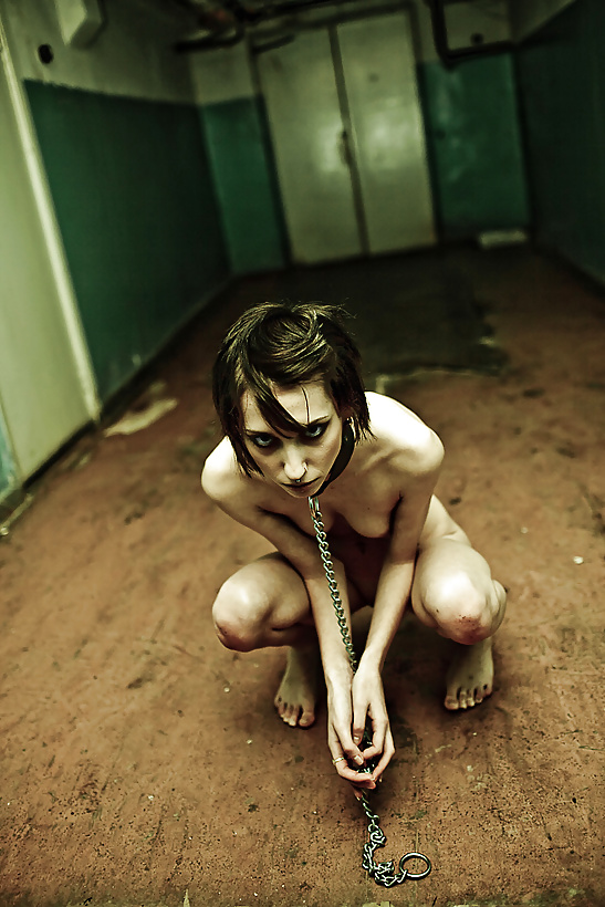 Gorean slavegirls
 #40081930